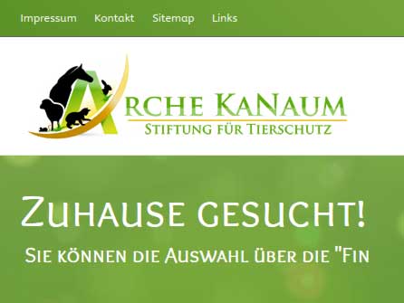 Zuhause gesucht Arche KaNaum Stiftung f r Tierschutz